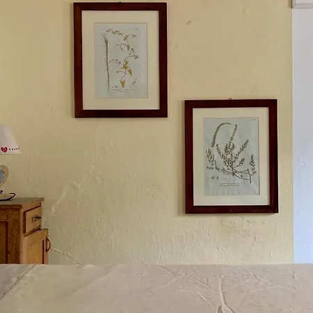 Casa Curti Apartman *