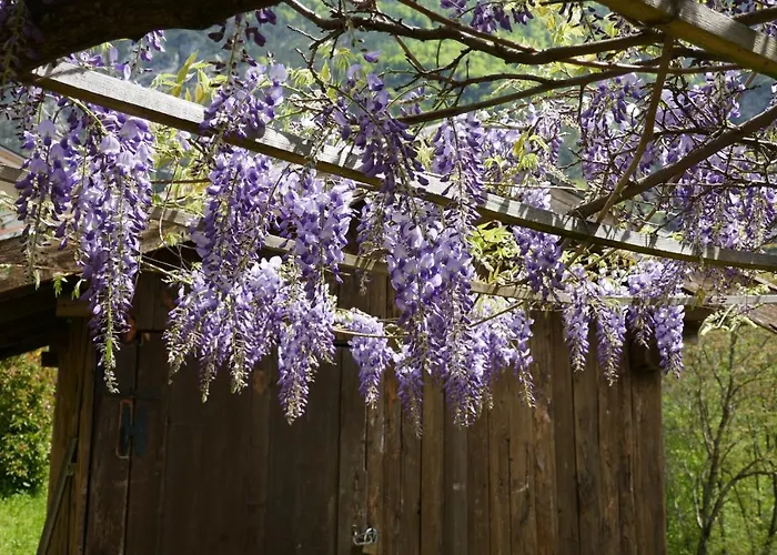 Casa Curti Apartment